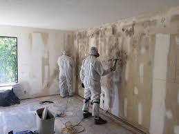 Mold Odor Removal Services in Millstadt, IL